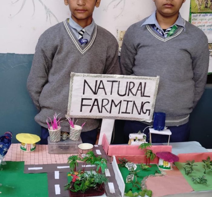 WhatsApp Image 2026-02-04 at 1.31.11 PM